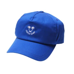 Twin Palms Lightweight Hat // Royal